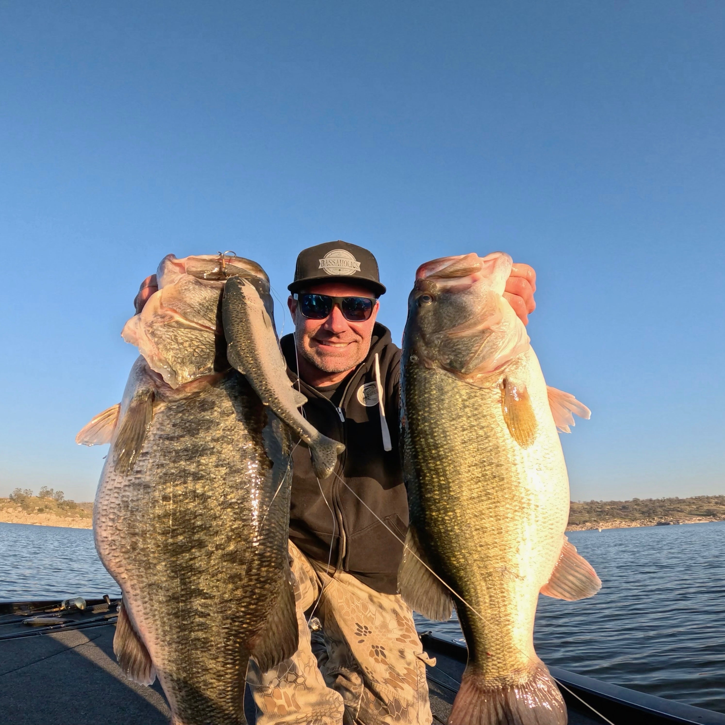 Chaos Baits