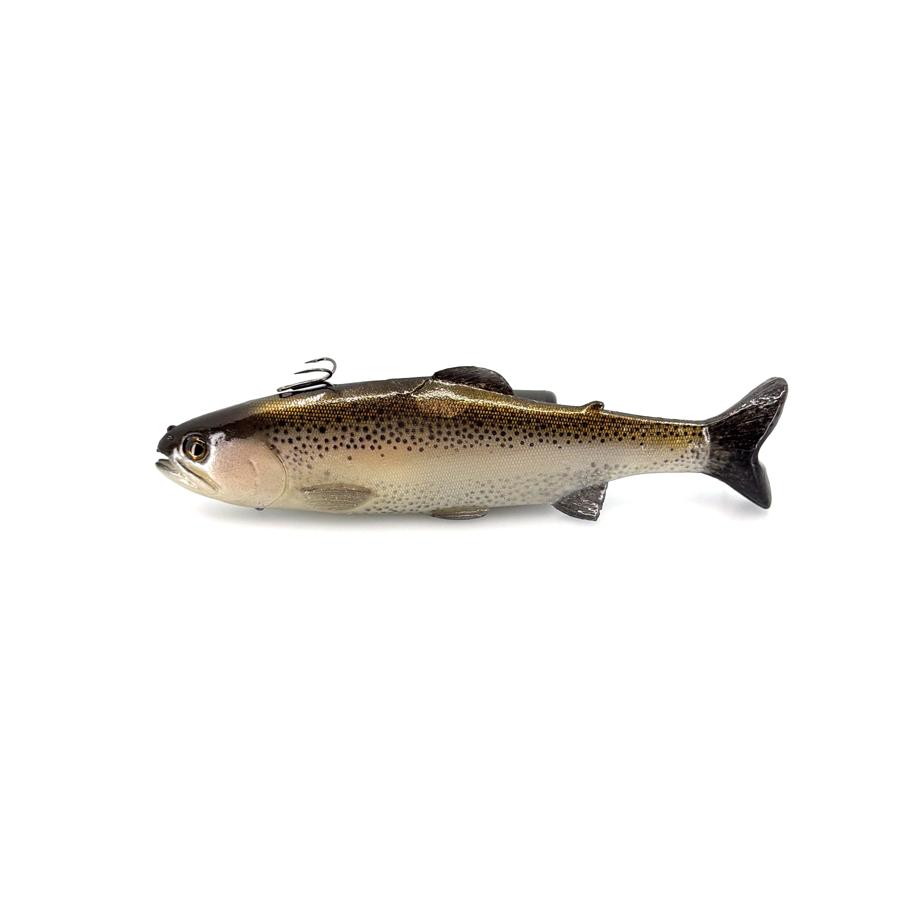 Chaos Bait Trout - Reservoir Trout – Chaos Baits