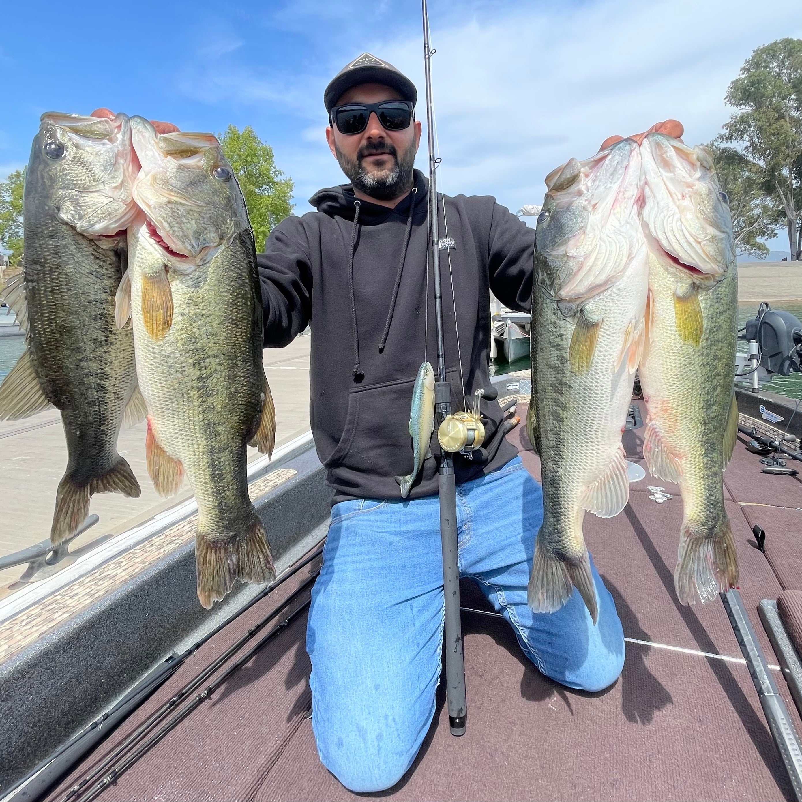 Chaos Baits